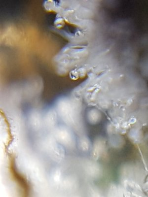 20201024_213513.jpg