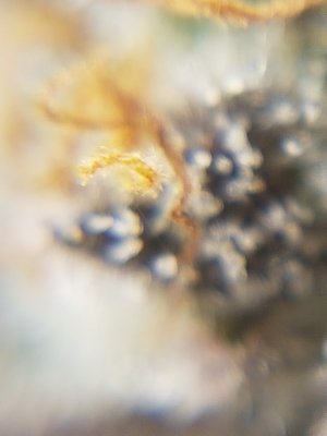 20201024_212511.jpg