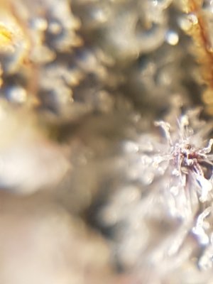 20201024_212505.jpg