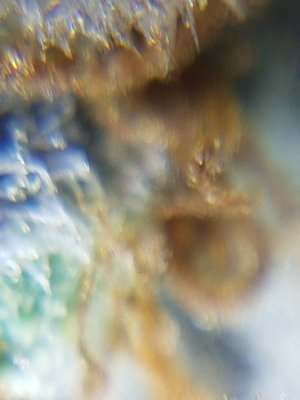 20201024_213710.jpg