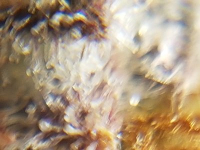 20201024_213118.jpg