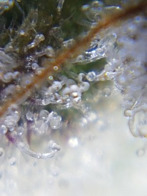 20201024_213603.jpg