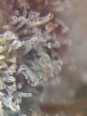 20201024_213435.jpg