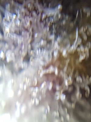 20201024_213428.jpg