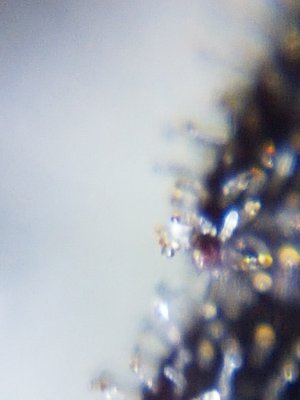 20201024_213411.jpg