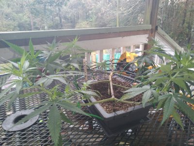 20201028_130056.jpg