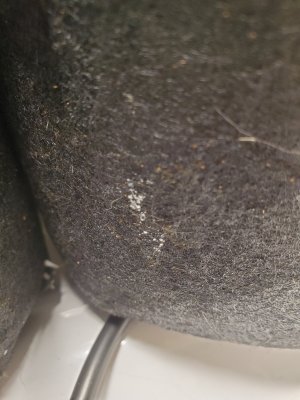 20201028_140203.jpg
