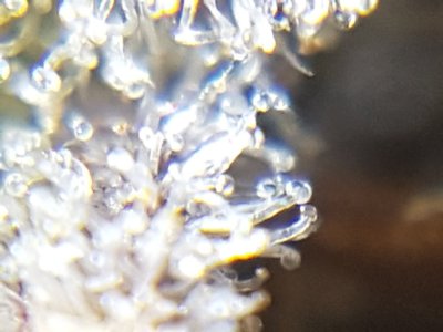 20201028_213342.jpg
