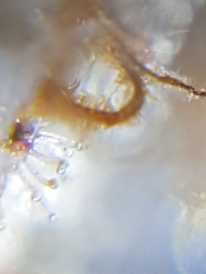 20201028_213404.jpg