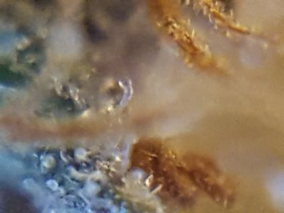 20201028_213358.jpg