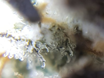 20201028_213703.jpg
