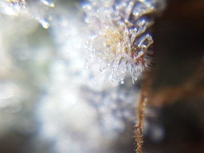 20201028_213257.jpg