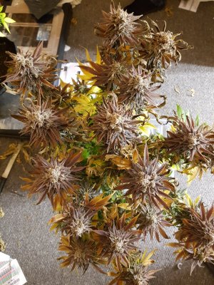 20201028_213753.jpg