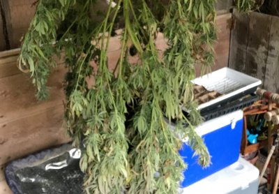 Outdoor organics