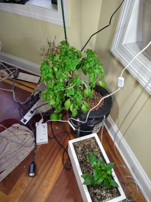 Grow number two, making space