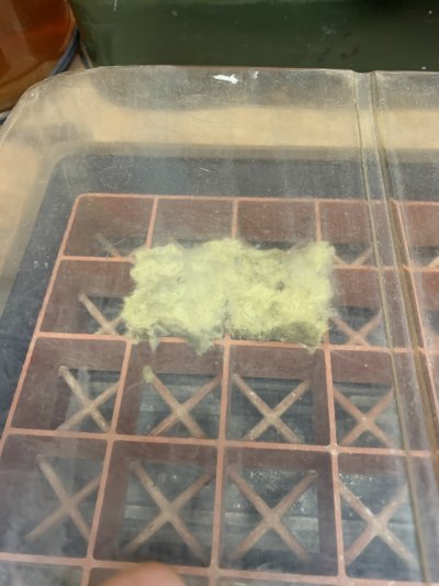 yeti-og-x-tropicana-cookies-2.jpeg
