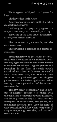 Mahavishnu’s Growchestra (Critical Plus, Widow, SSH, CBD)
