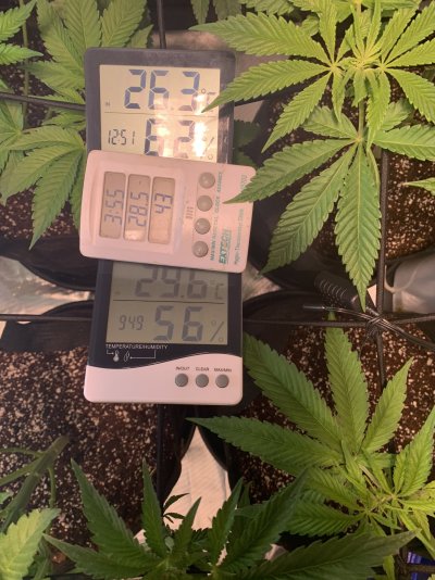 cheap-sensors-co2-temp-and-rh.jpeg