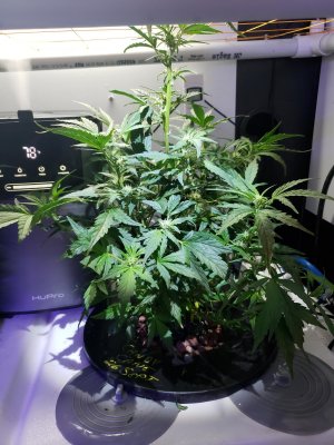 20201105_093547.jpg