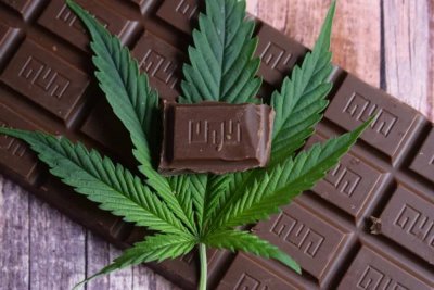 cannabis-chocolate-study-CW-Labs-mgretailer.jpg