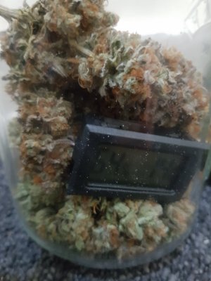 20201107_035017.jpg