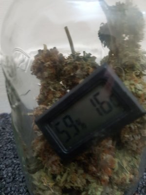 20201107_035010.jpg