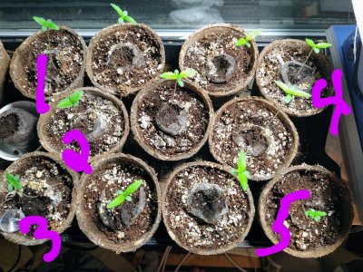 Captain's Log: Dispatches from Planet Milson