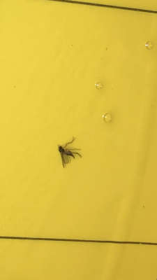 46CA3601-1E26-4774-A043-3FAF33CDEE06.png