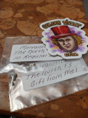 Captain's Log: Dispatches from Planet Milson