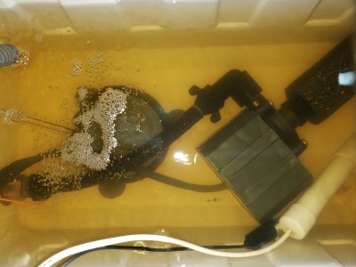20201108_002814.jpg