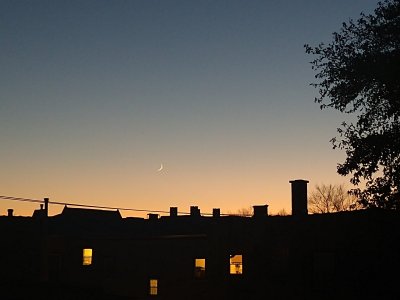 Captain's Log: Dispatches from Planet Milson