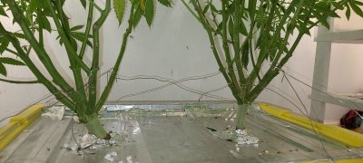 20201116_193839.jpg
