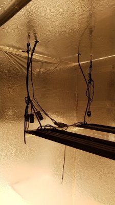 Removing heat from light increased tent temps?
