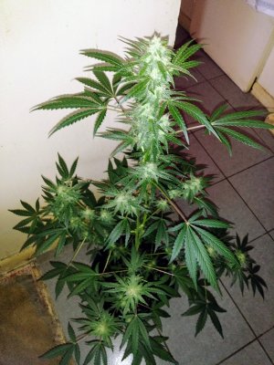 20201119_080905.jpg