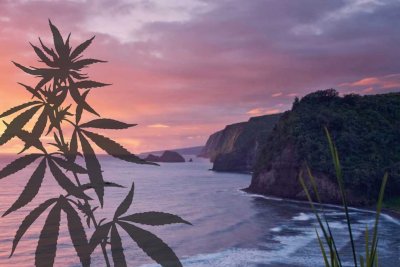 Is-Weed-Legal-in-Hawaii-scaled.jpg