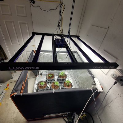 New setup, looking for new lighting!