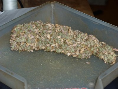 Drawohs Thai (Large).jpg