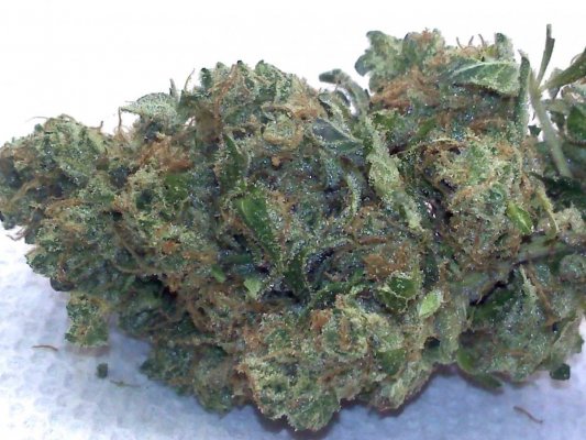 Headband Smoke Report