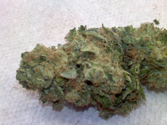 Headband Smoke Report