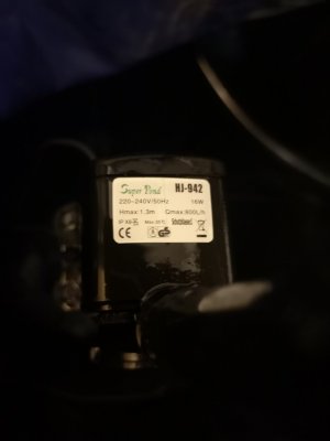 IMG_20201122_171232.jpg