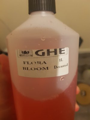 Need help with seedlings please