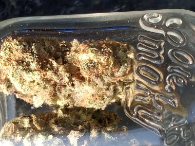 How The Hell Is Everyone? (Homie Check)