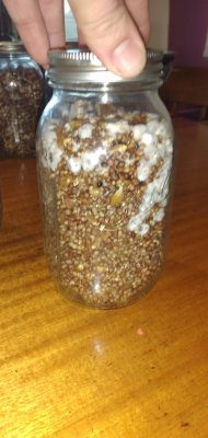 Mushroom thread