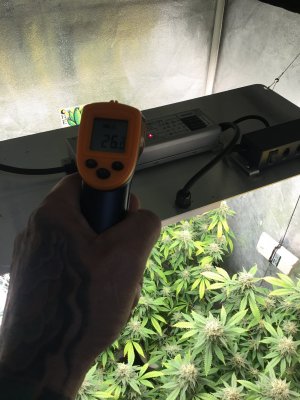 9D76B155-C637-4ACA-BC2A-D43007D178AA.jpeg