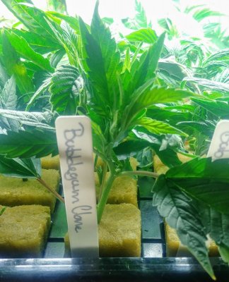 20201209_180023_HDR.jpg
