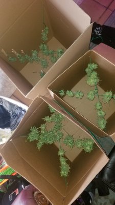 20201212_101015.jpg