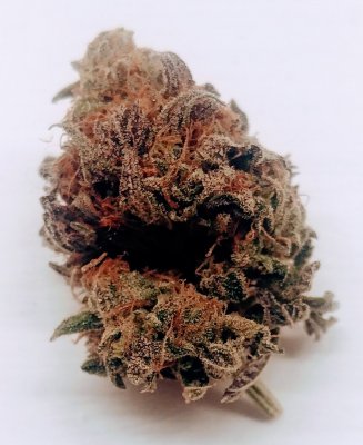 20201213_001413_HDR.jpg