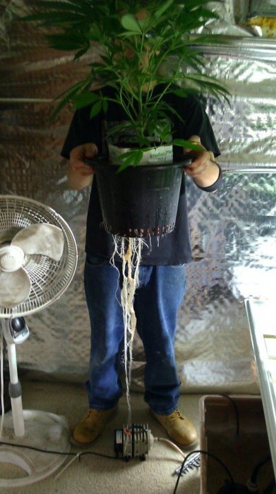 11k10-plant-mpb-recirc--custom.jpg