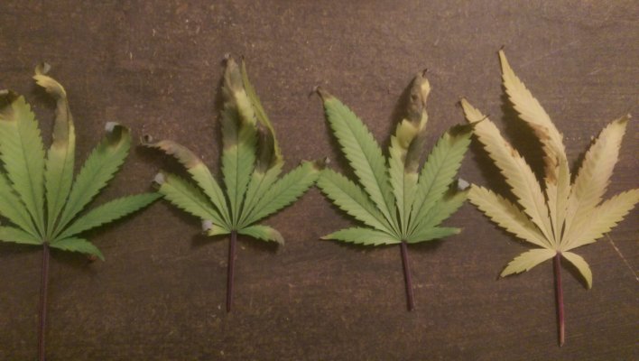 What kind of deficiency is this?