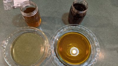 PXL_20201211_024055711.jpg